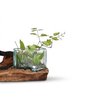 Coupe bassin sur socle, photographiée sur fond blanc
