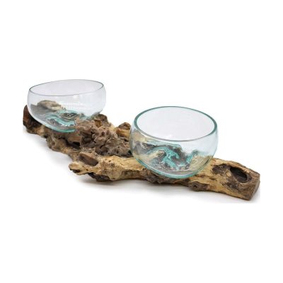 Deux coupes de verre soufflé posées sur une longue racine de Gamal de 70 cm
