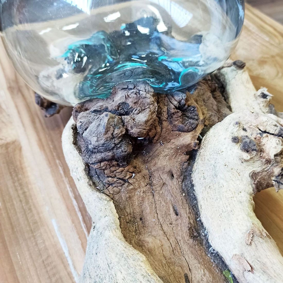 Gros plan sur le verre soufflé à chaud qui a durci en épousant les creux de la racine de Gamal
