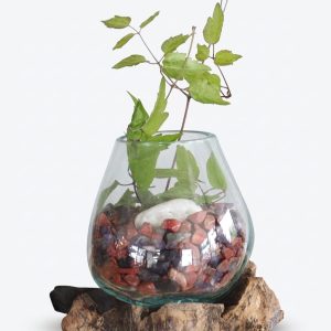 Grande coupe sur pied, 25 cm, photographiée sur fond blanc